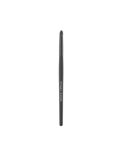 Blender Brush
