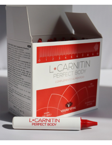 L-CARNITIN Perfect Body