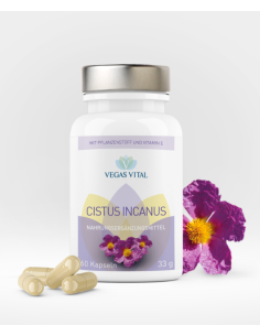 Cistus Incanus