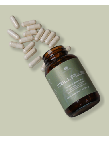 CellPlus